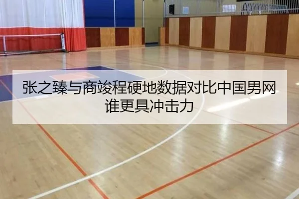 张之臻与商竣程硬地数据对比中国男网谁更具冲击力